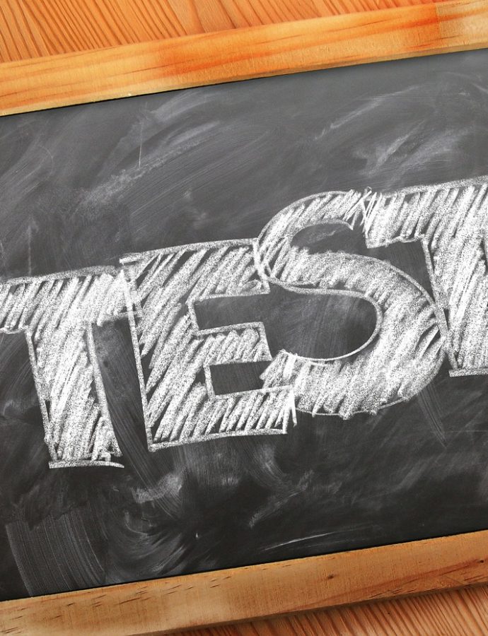 Usability-Tests im UX Design: Warum sie entscheidend sind und wie sie durchgeführt werden