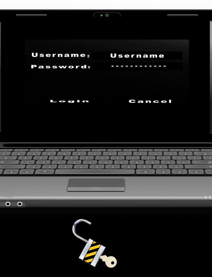 Passwortloser Login: Ein sicherer und bequemer Zugang zu deinen Online-Konten